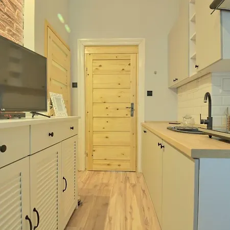 Modern 1 Apartment