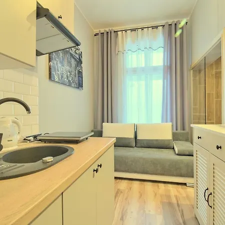 Modern 1 Apartment