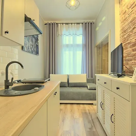 Modern 1 Apartment Olsztyn